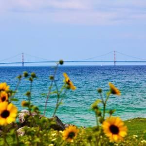 Meet your Posher, Connie